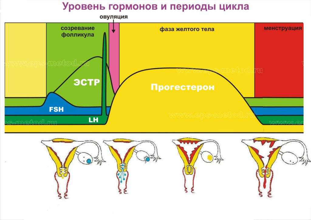 анализ крови на прогестерон